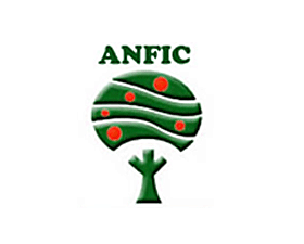 Australian Nurserymens Fruit Improvement Company Ltd. (ANFIC)