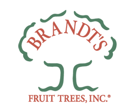 Brandts Fruit Trees, Inc.