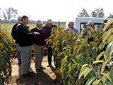 International Nursery Group Annual Meeting Focuses On Innovation